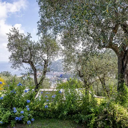La Casa Di Pietra Piscina E Panorama Da Sogno Santa Margherita Ligure
